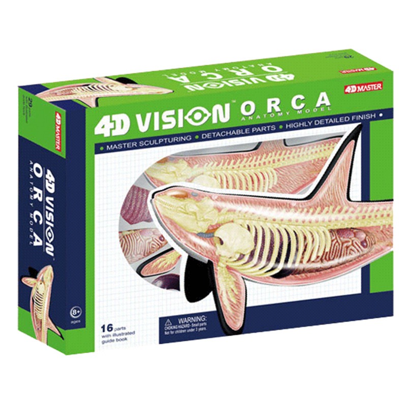 Medical Lab Scientist - 4D Vision Orca Кит Скелет Анатомия